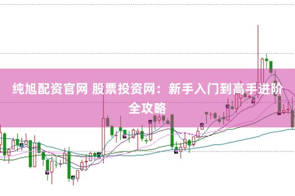 纯旭配资官网 股票投资网：新手入门到高手进阶全攻略