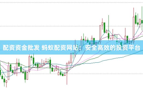 配资资金批发 蚂蚁配资网站：安全高效的投资平台