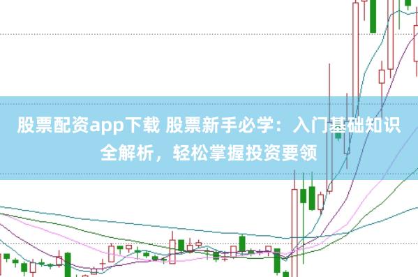股票配资app下载 股票新手必学：入门基础知识全解析，轻松掌握投资要领