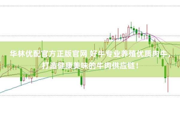 华林优配官方正版官网 好牛专业养殖优质肉牛，打造健康美味的牛肉供应链！