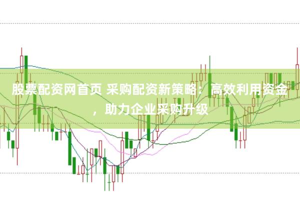 股票配资网首页 采购配资新策略：高效利用资金，助力企业采购升级