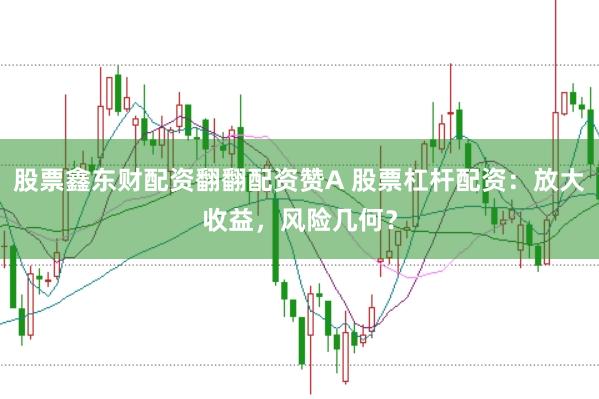 股票鑫东财配资翻翻配资赞A 股票杠杆配资：放大收益，风险几何？