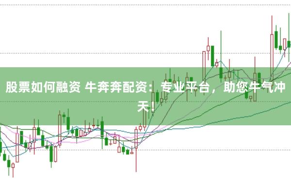 股票如何融资 牛奔奔配资：专业平台，助您牛气冲天！